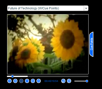 Flash Video Player v1